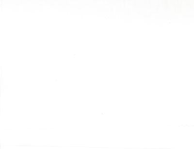 Moda Muslin 108" Wide Warm White 200 Count