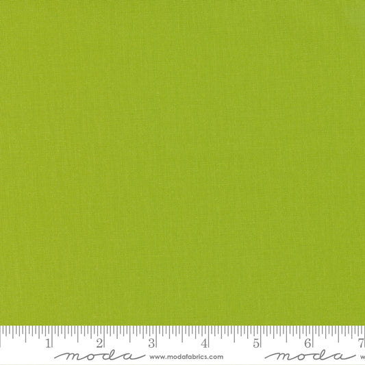 9900 344 Bella Solids               Fern
