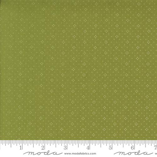 Eyelet Pine
