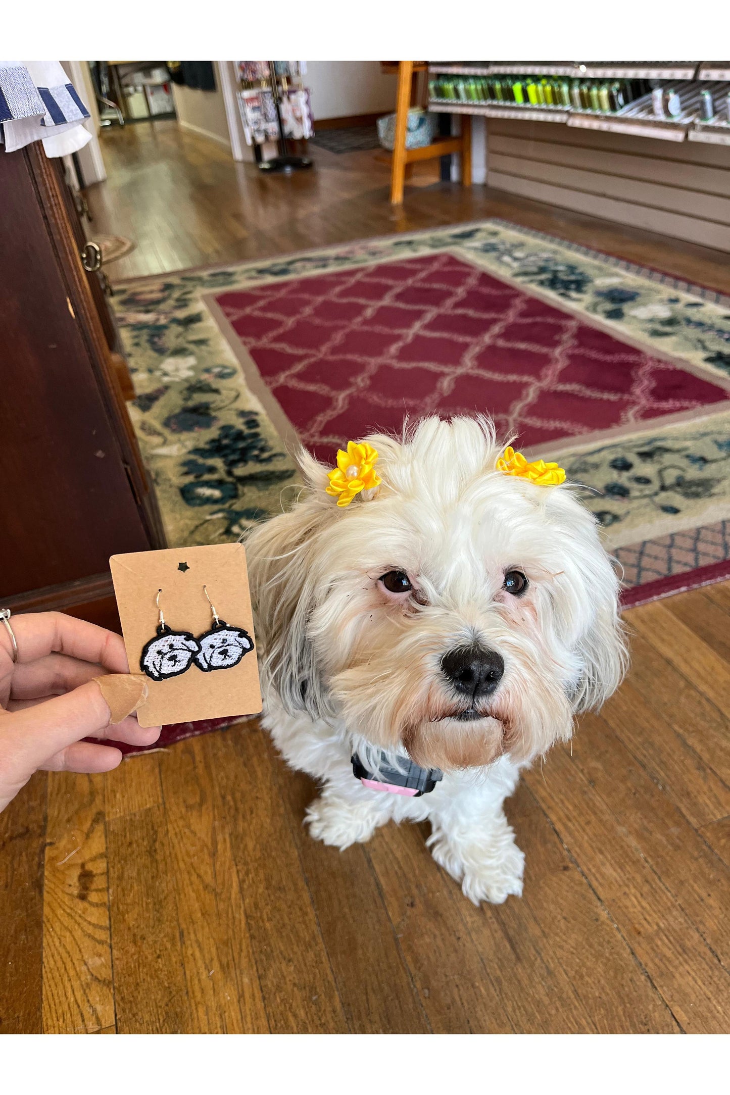 Earrings - Shop Dog