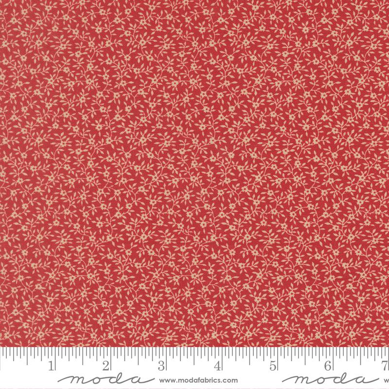 Petals And Polka Dots - Garden Rose