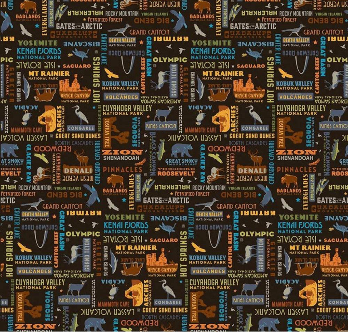 Riley Blake - National Parks Word Print - Black