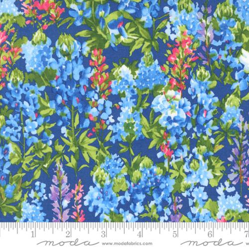 Wildflowers 2024 Bluebonnet