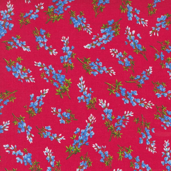 Wildflowers 2024 Bluebonnet Toss 33775 15