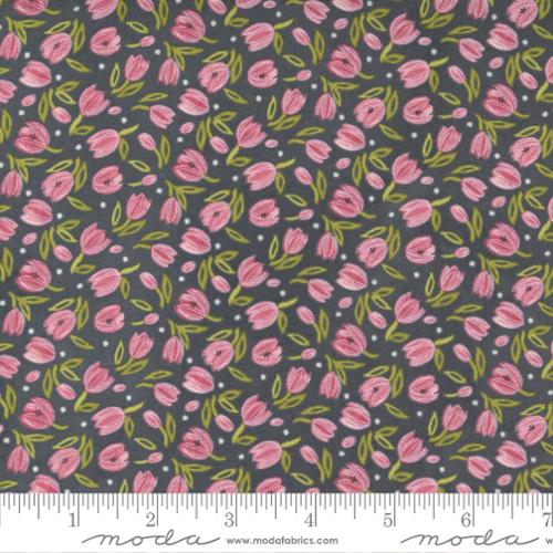 Tulip Tango Shadow 48713 14