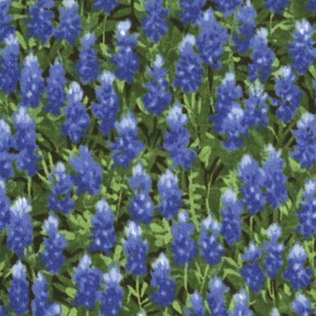 Wildflowers-Basics-Summer-32366-11