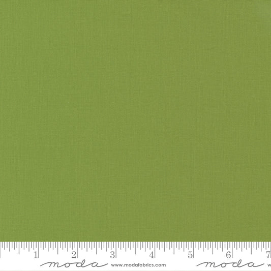9900 189 Bella Solids               Kiwi
