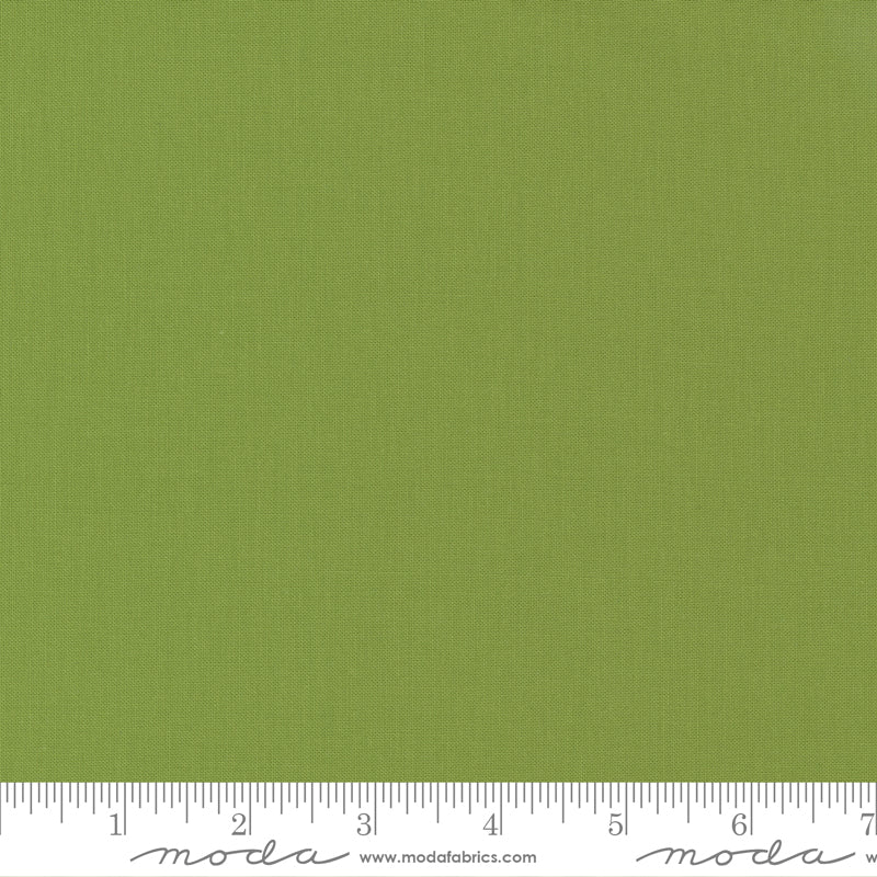 9900 189 Bella Solids               Kiwi