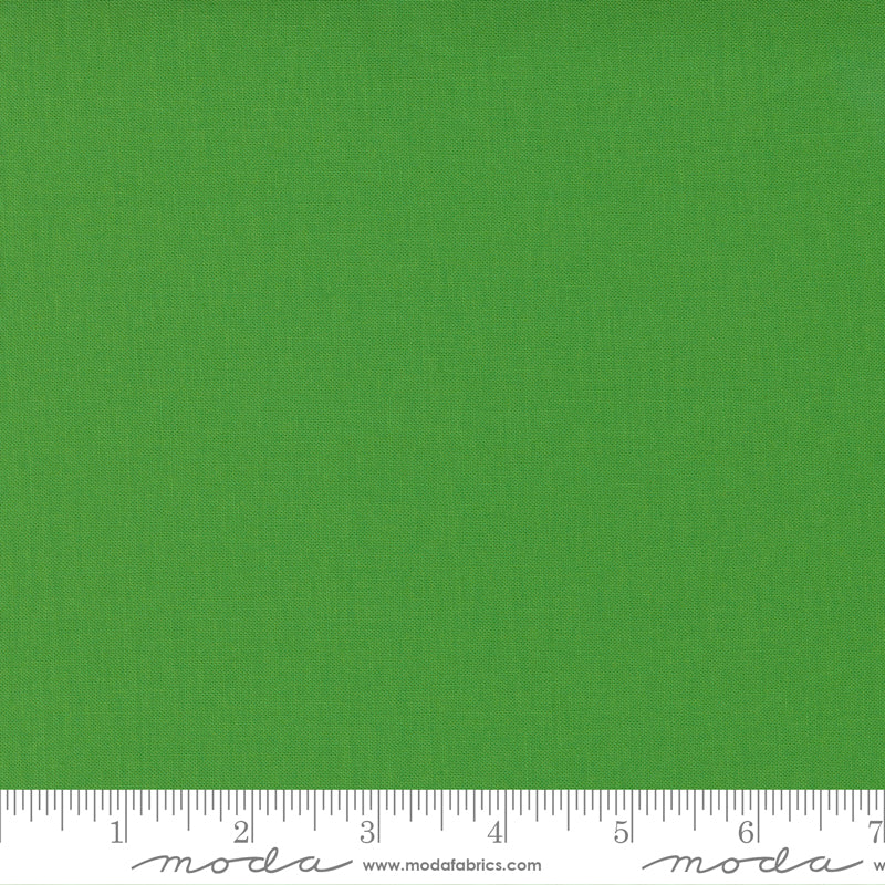 9900 335 Bella Solids           Princess