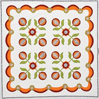 Alex Anderson's Hand & Machine Appliqué