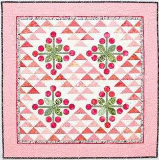 Alex Anderson's Hand & Machine Appliqué