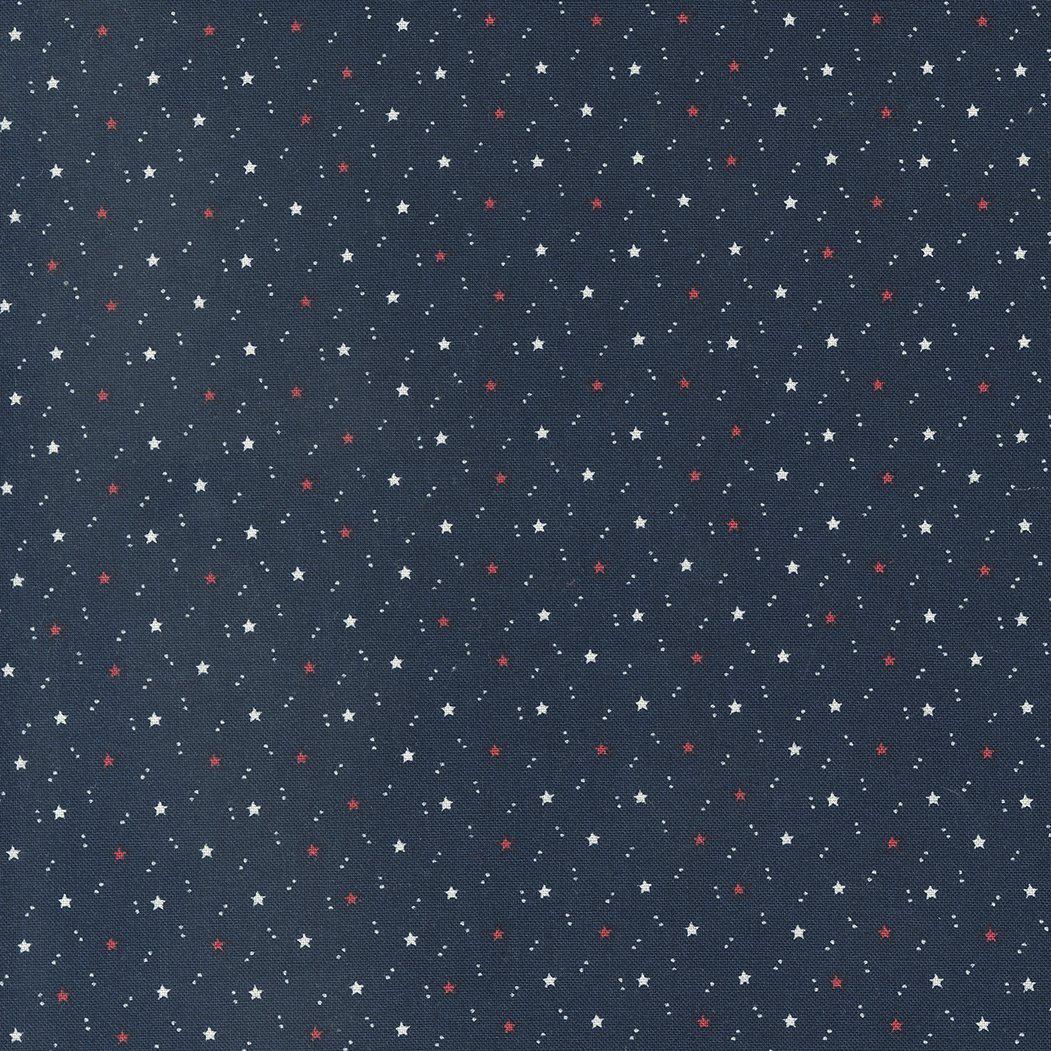 American Gatherings II - Space Star Navy