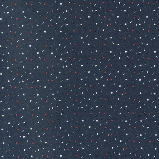American Gatherings II - Space Star Navy