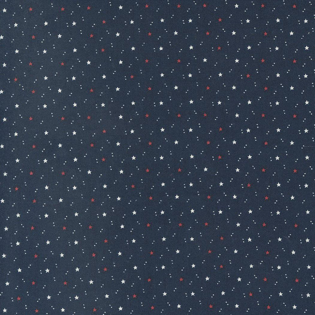 American Gatherings II - Space Star Navy