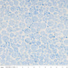 Expressions Batiks - Tjaps - Little Boy Blue
