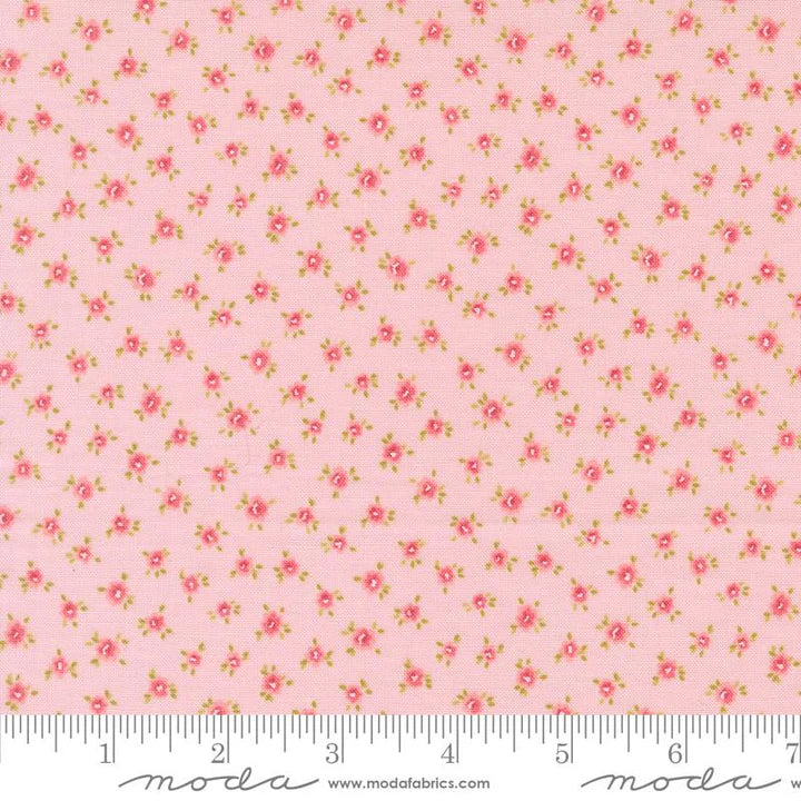 Memory Lane - Blush Little Posies