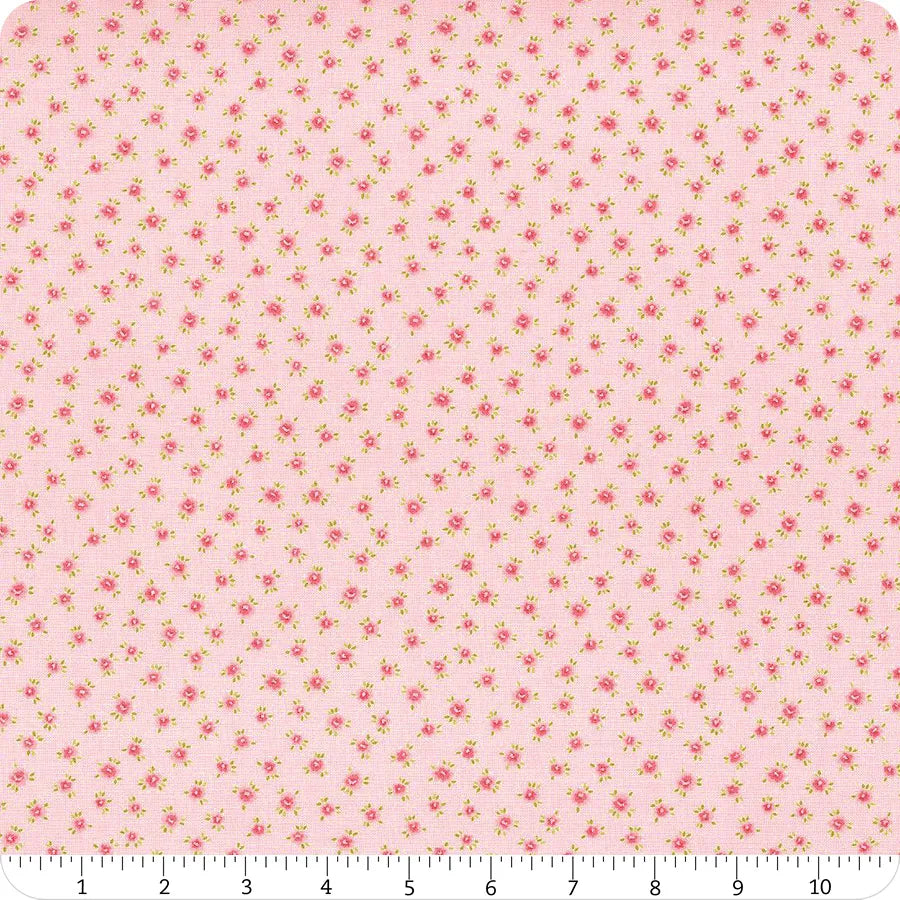 Memory Lane - Blush Little Posies
