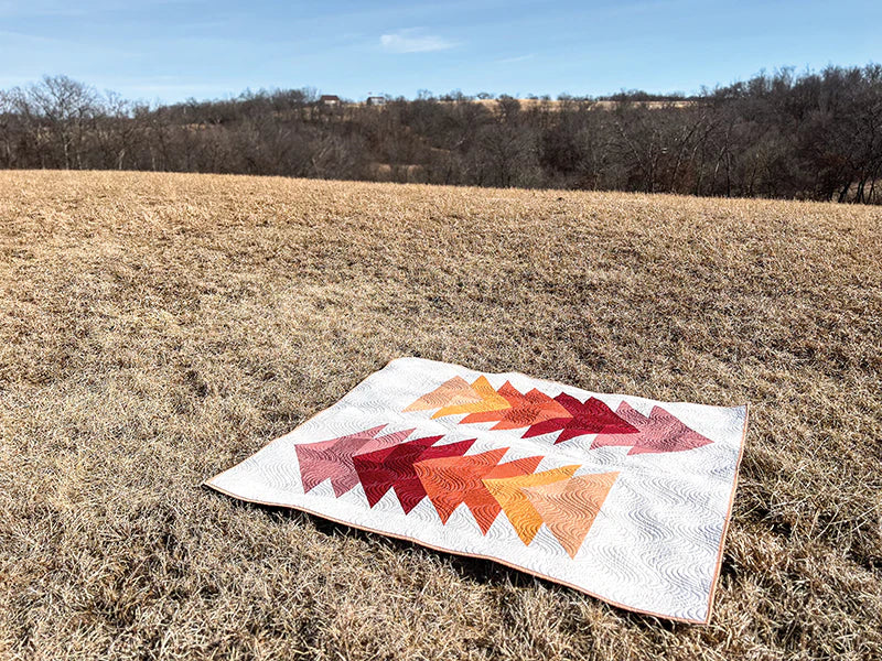 Cozy Quilts for the Modern Home: 16 Seasonal Projects