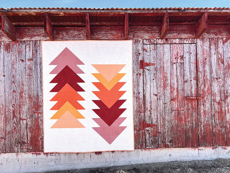 Cozy Quilts for the Modern Home: 16 Seasonal Projects
