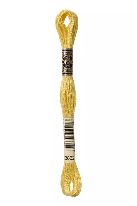DMC Embroidery Floss