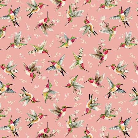 Hummingbird Toss Rose (Into the Meadow)
