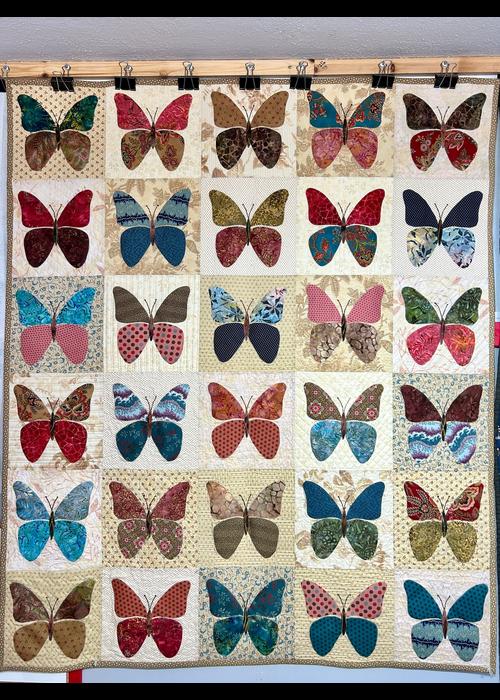Butterflies Quilt Class Texas Quiltworks