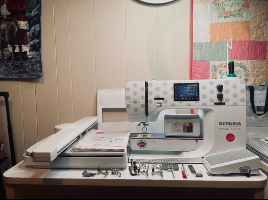 Treasured Trade In - BERNINA 770 QE Tula Pink Special Edition