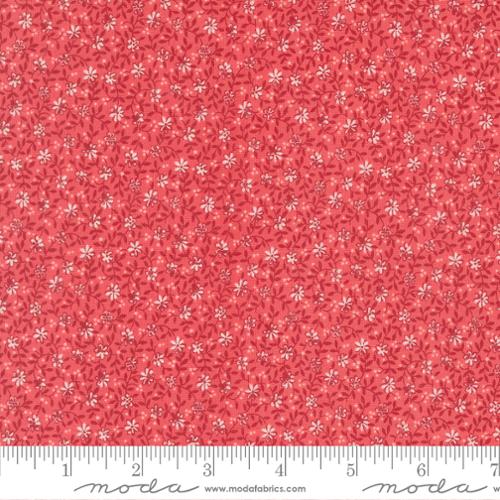 Lyda Rose - Petal