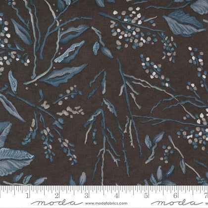 Change of Seasons - Foliage Nature Leaf Cocoa