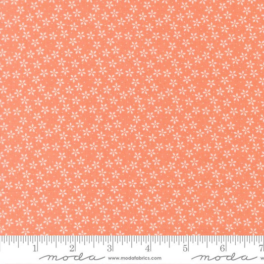 Pastel Prairie - Coral