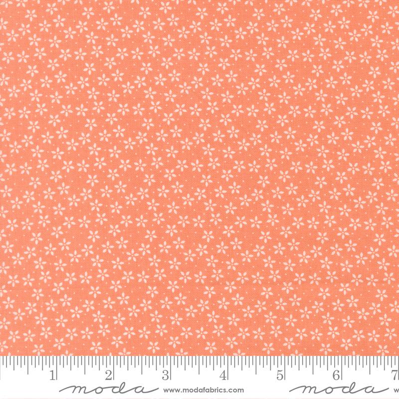 Pastel Prairie - Coral