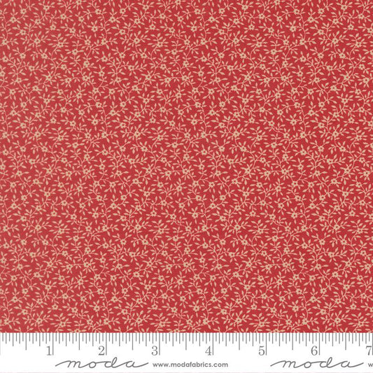 Petals And Polka Dots - Garden Rose