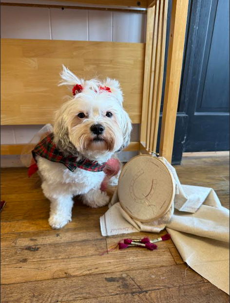 French General Red work Hand Embroidery Kit