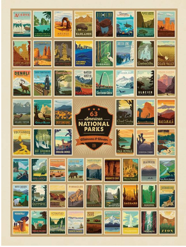 Riley Blake - National Parks Wilderness Wonders - Panel