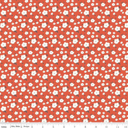 Serendipity 2 Flower Bed Orange