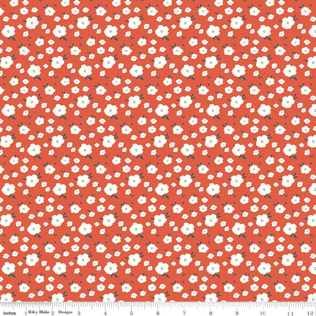 Serendipity 2 Flower Bed Orange