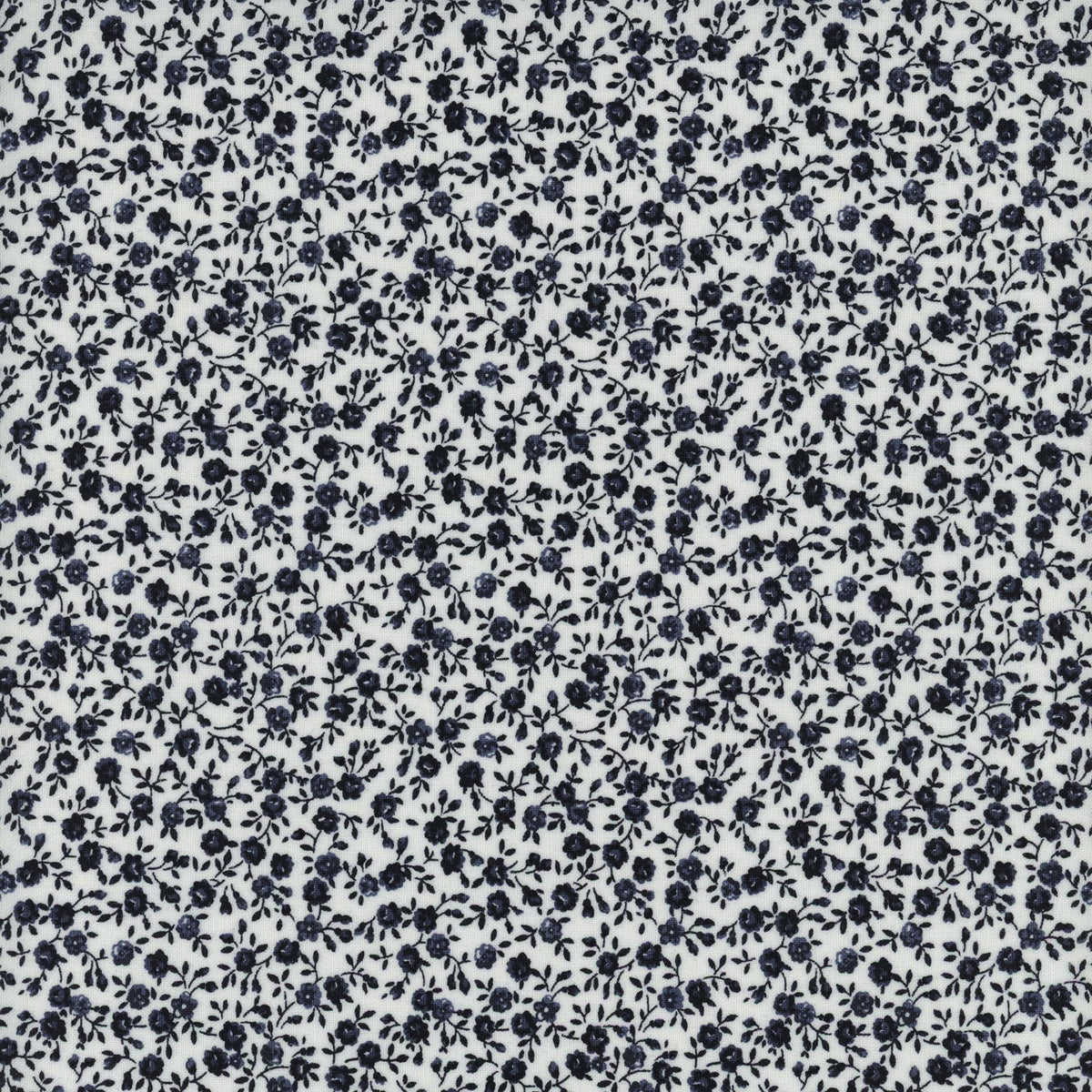 Summertime Navy on Cream Bloom