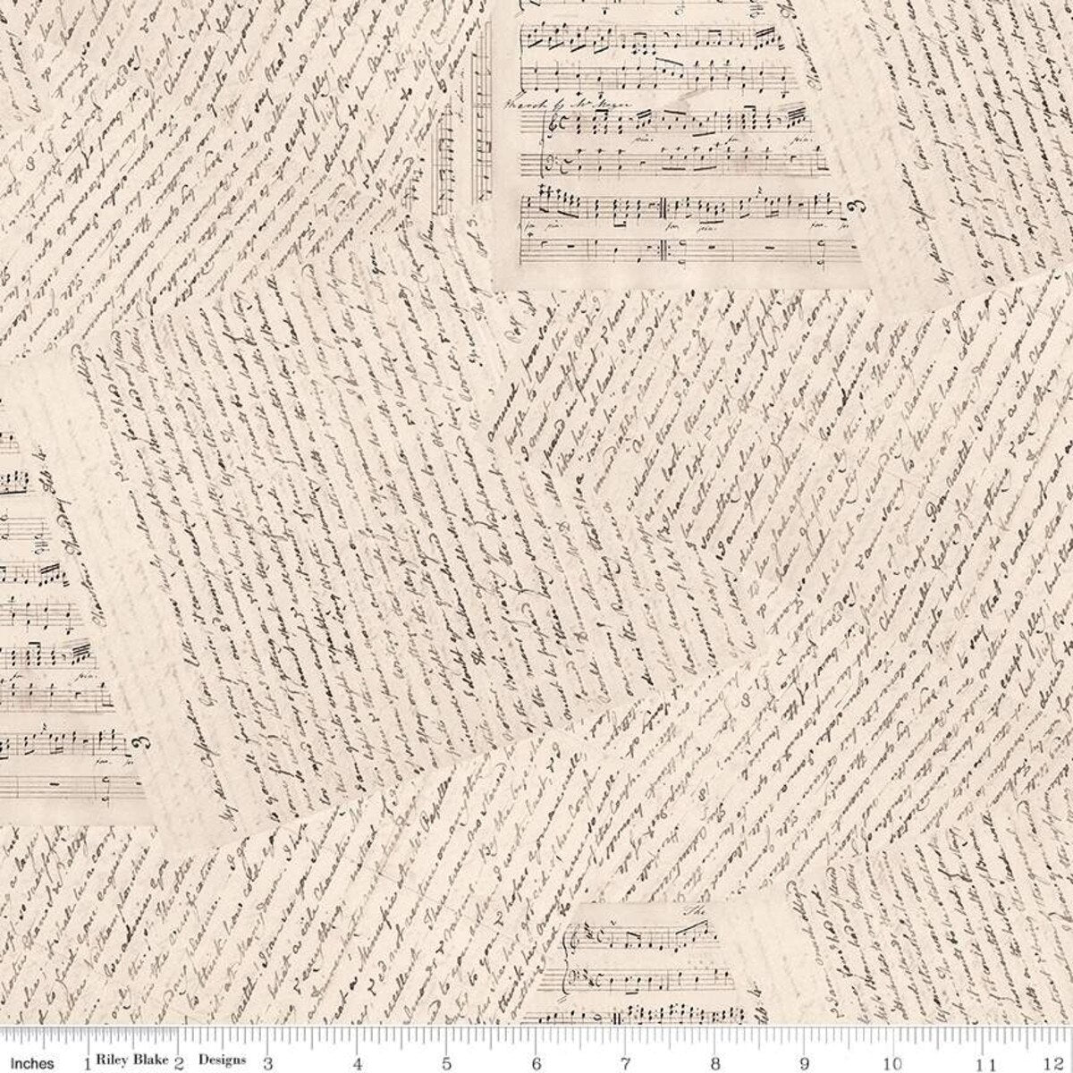 Wide Back - Jane Austen at Home - Accomplished Woman
