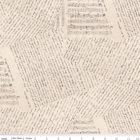 Wide Back - Jane Austen at Home - Accomplished Woman