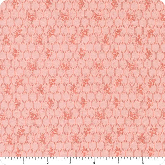 Wild Honey Carnation Honeycomb