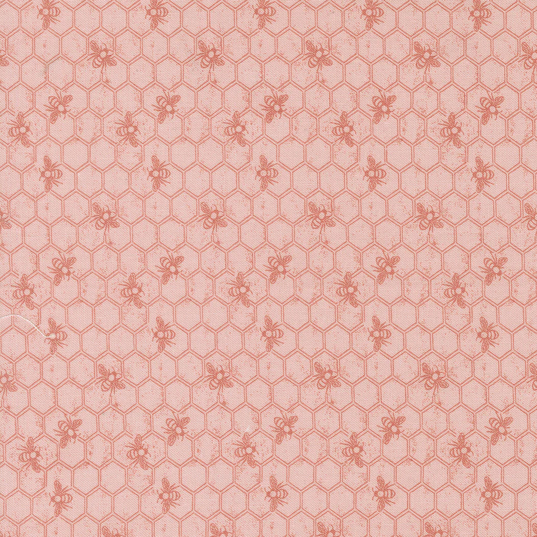 Wild Honey Carnation Honeycomb