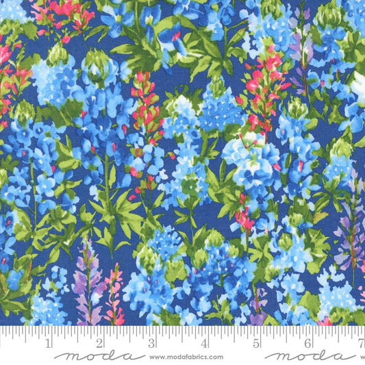 Wildflowers 2024 Bluebonnet