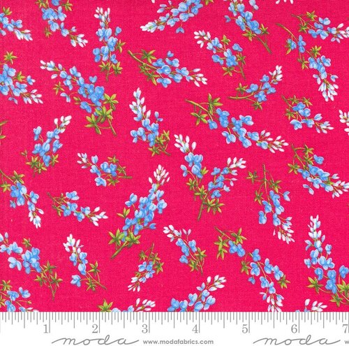 Wildflowers 2024 Bluebonnet Toss