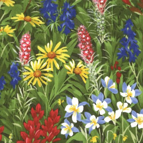 Wildflowers Basics Summer 32361 11