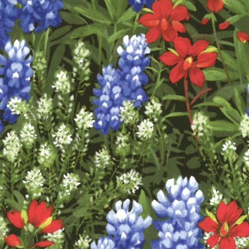 Wildflowers Basics Summer