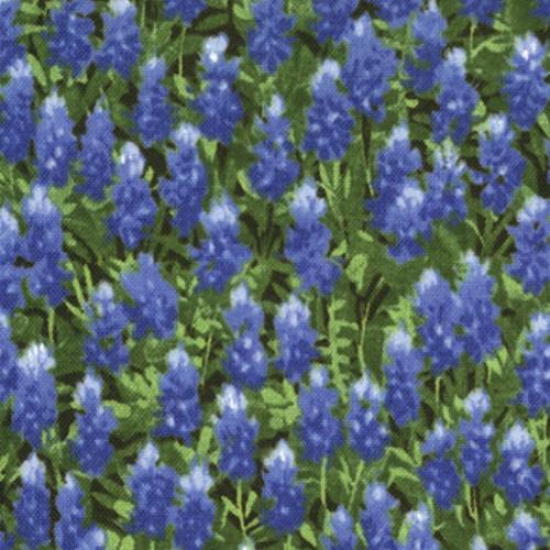 Wildflowers Basics Summer 32366 11